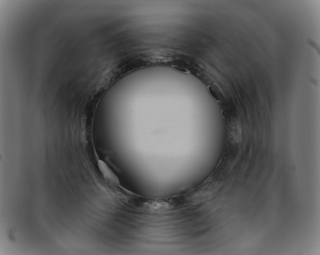 X0000097470512200803071656