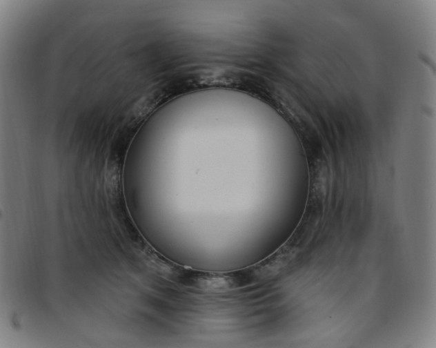 X0000097470513200803071656