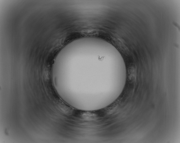 X0000097470515200803071656