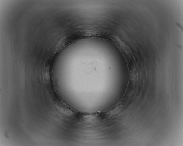 X0000097470516200803071656