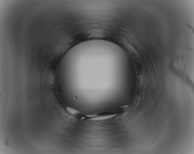 X0000097470517200803071656
