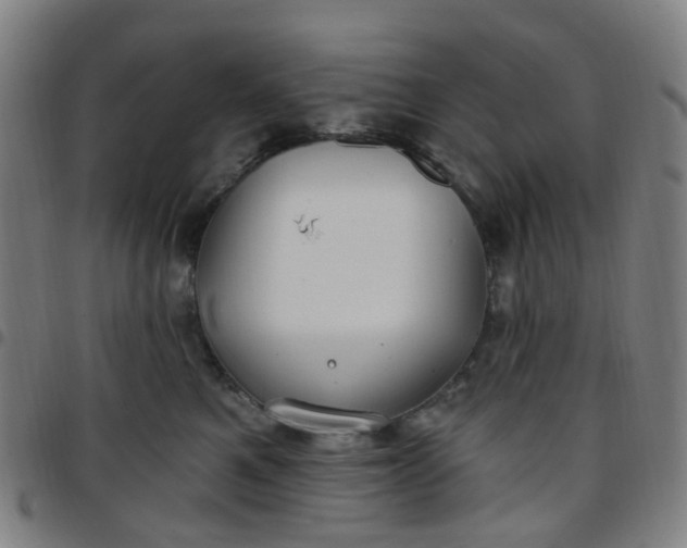 X0000097470521200803071656