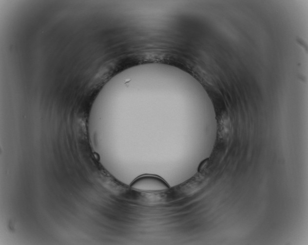 X0000097470522200803071656