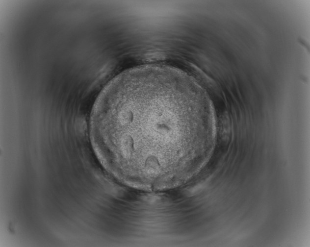 X0000097470523200803071656