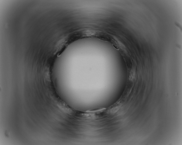X0000097470524200803071656
