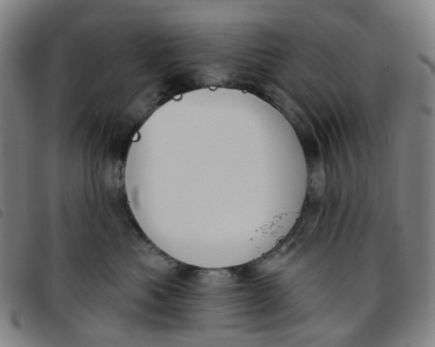 X0000097470525200803071656