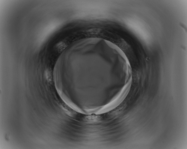 X0000097470526200803071656