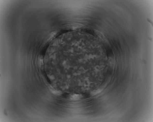 X0000097470527200803071656