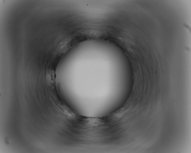 X0000097470528200803071656