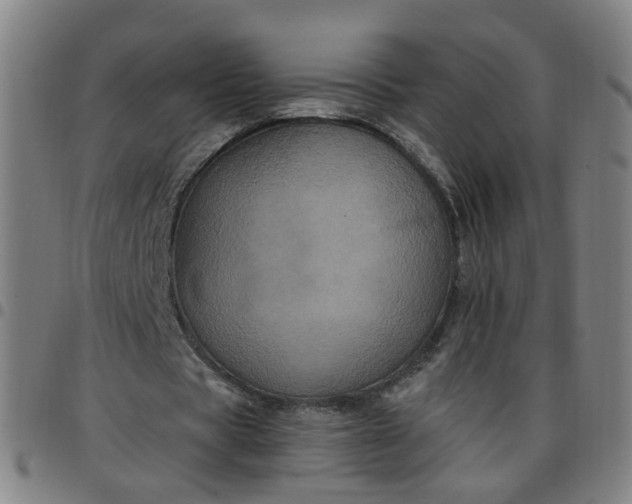 X0000097470529200803071655