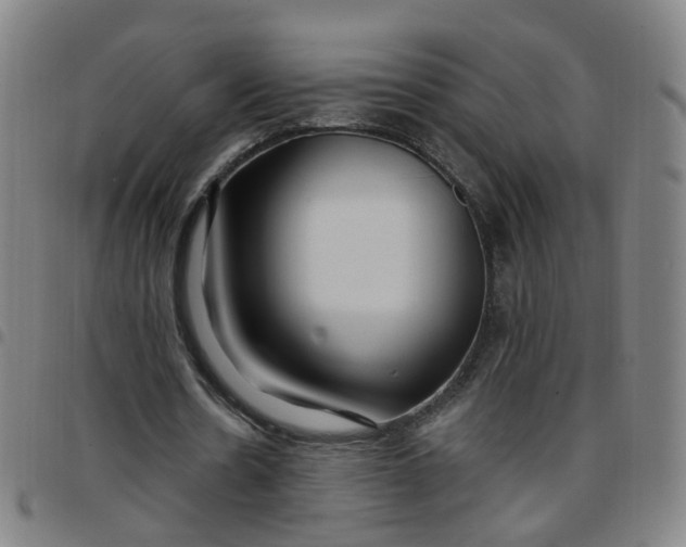X0000097470530200803071655