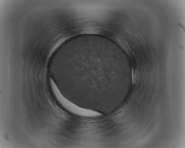 X0000097470531200803071655