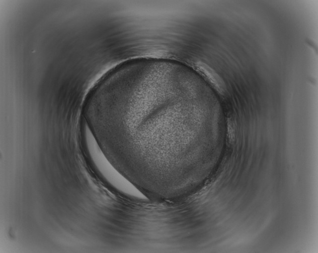 X0000097470532200803071655