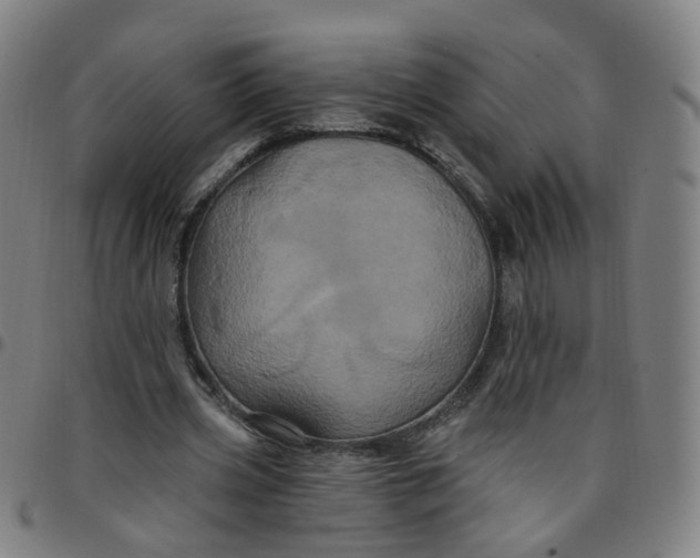 X0000097470533200803071655