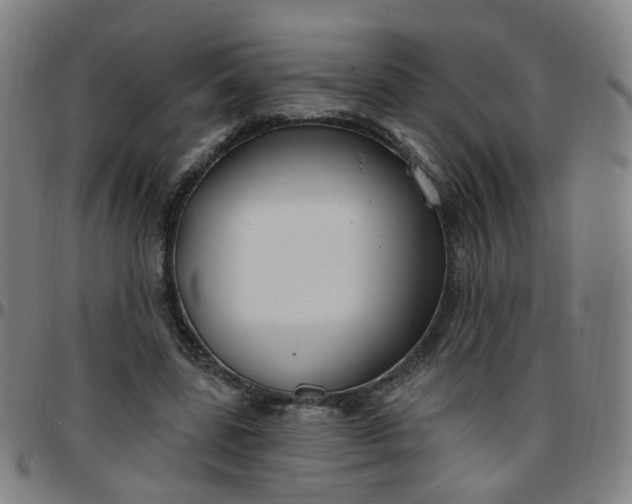 X0000097470539200803071656