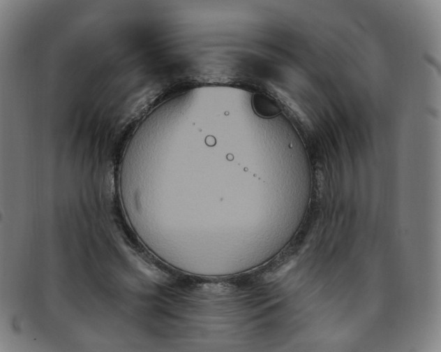 X0000097470541200803071656