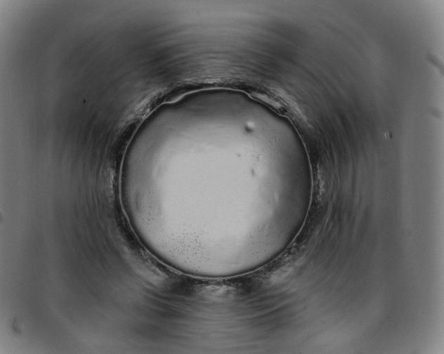 X0000097470542200803071656