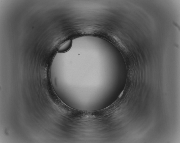 X0000097470543200803071656