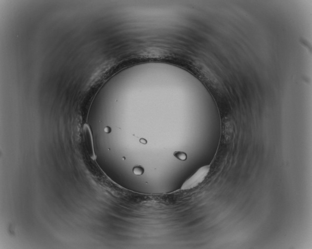 X0000097470544200803071656