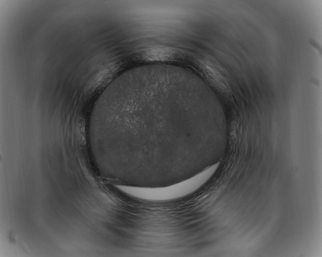 X0000097470547200803071656
