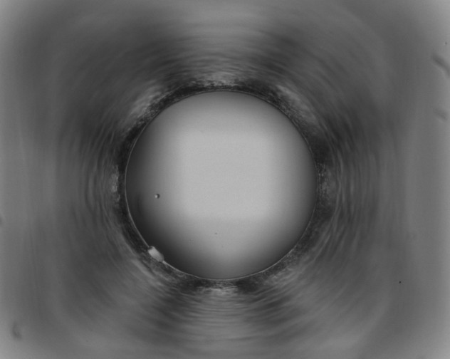 X0000097470548200803071656