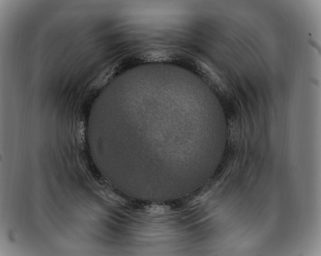 X0000097470549200803071656