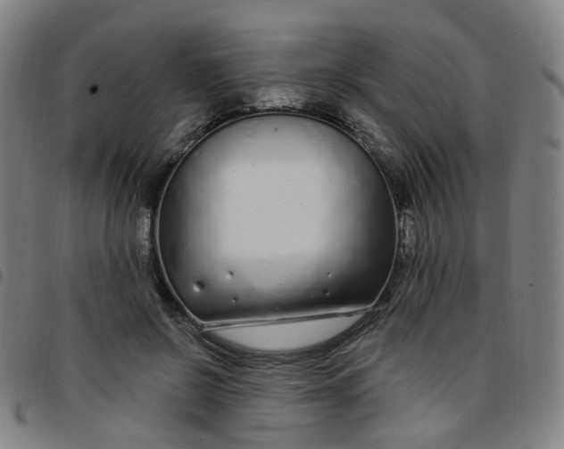 X0000097470550200803071656