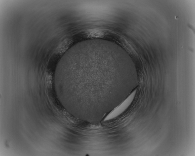 X0000097470551200803071656