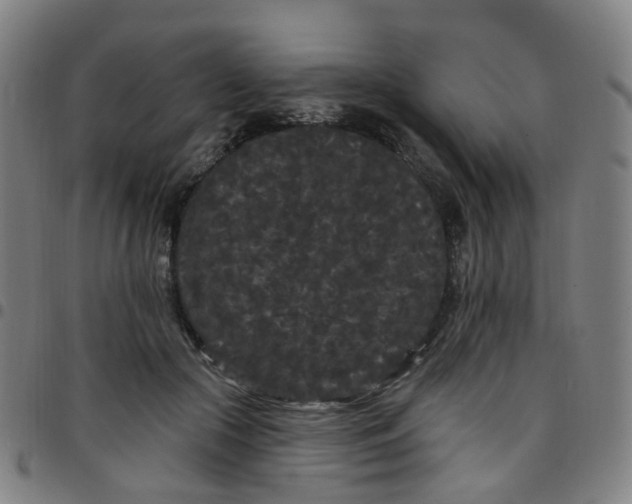X0000097470553200803071656