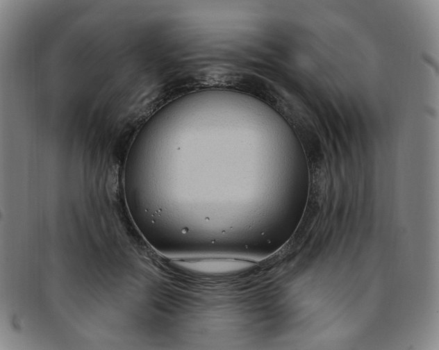 X0000097470554200803071656