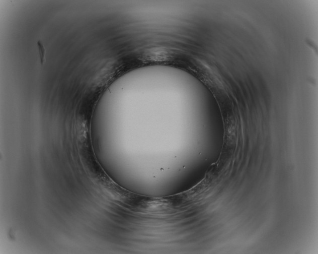 X0000097470555200803071656