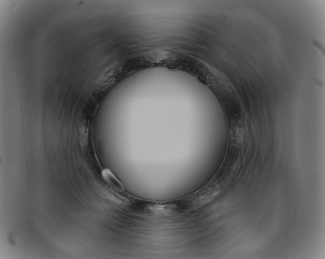 X0000097470558200803071656