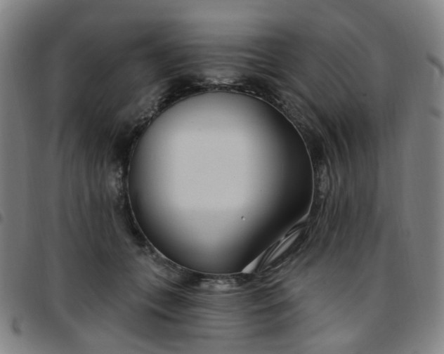 X0000097470559200803071656