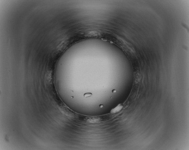 X0000097470560200803071656