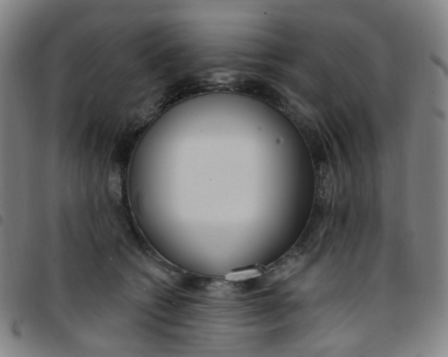 X0000097470562200803071656