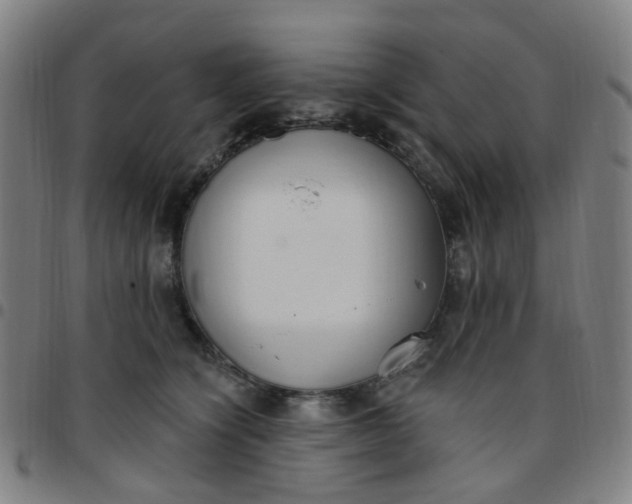 X0000097470564200803071656