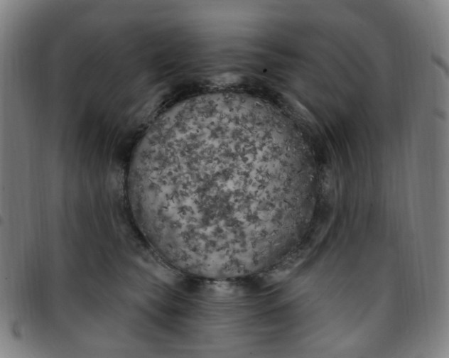 X0000097470565200803071656