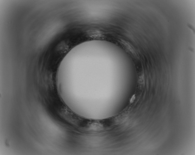 X0000097470572200803071656