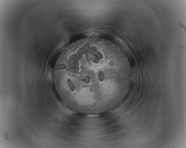 X0000097470573200803071656