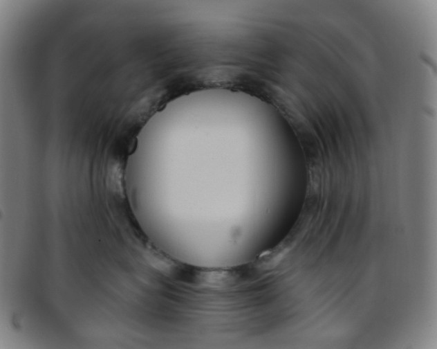 X0000097470575200803071656