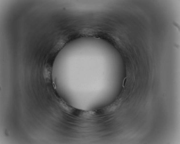 X0000097470576200803071656