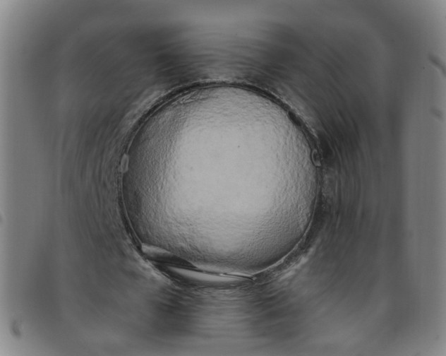 X0000097470577200803071655