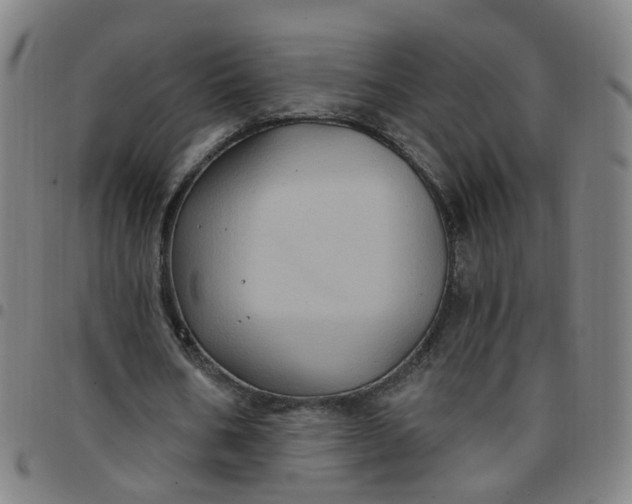X0000097470578200803071655