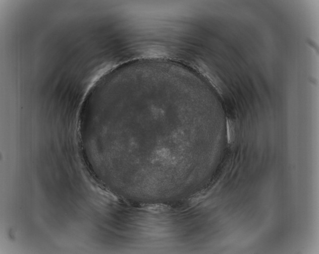 X0000097470579200803071655