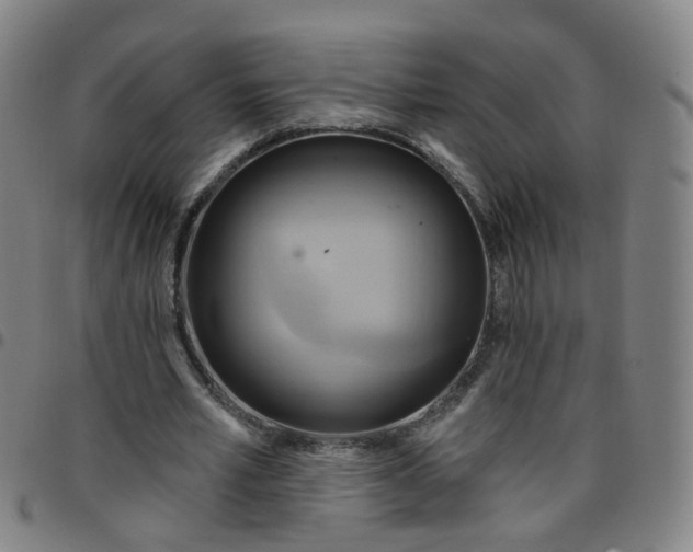 X0000097470581200803071655