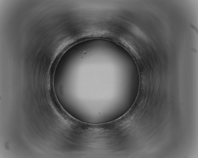 X0000097470582200803071655