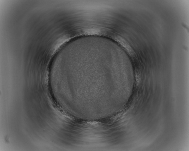 X0000097470583200803071655