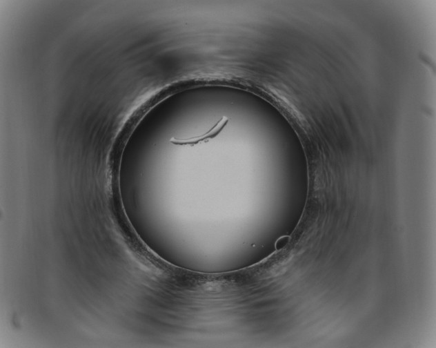 X0000097470584200803071655