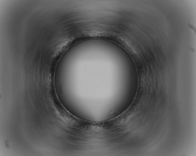 X0000097470592200803071655