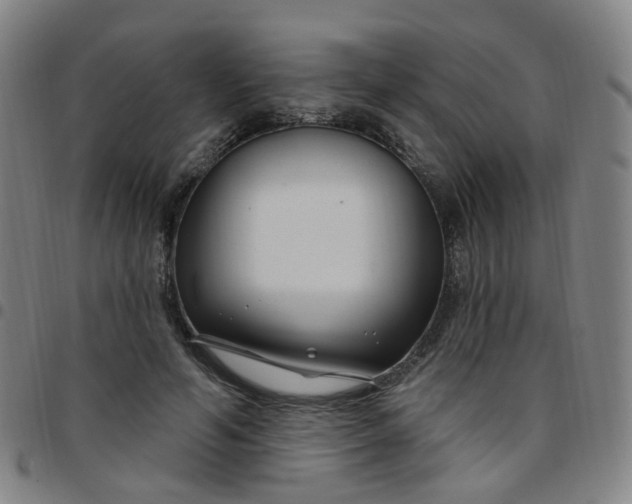 X0000097470594200803071655